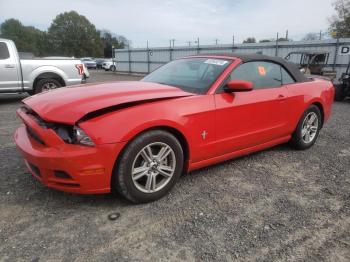  Salvage Ford Mustang