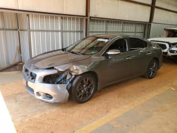  Salvage Nissan Maxima