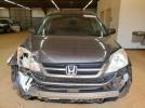 Honda Crv Exl Image 3