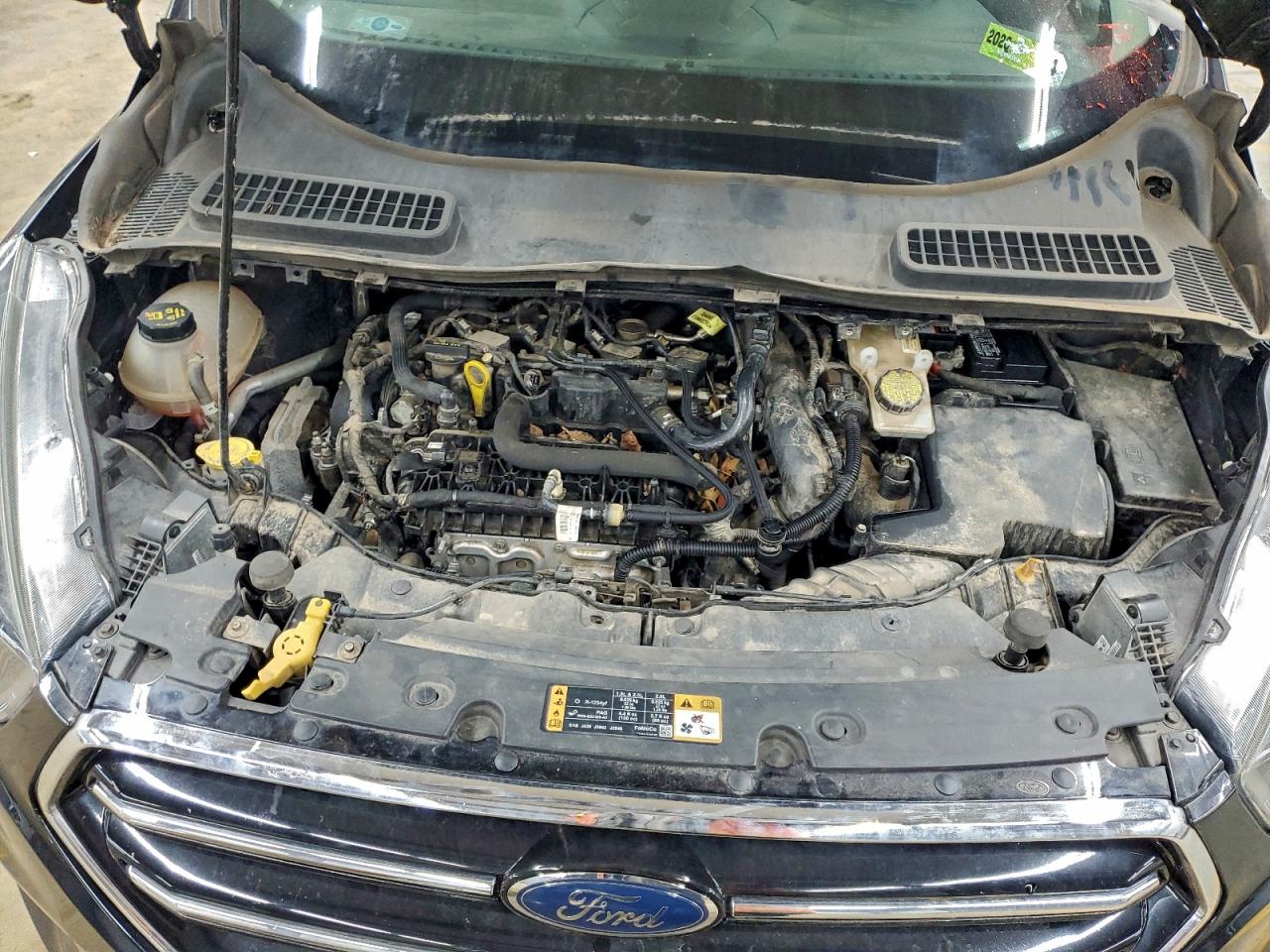 Ford Escape Se Image 7