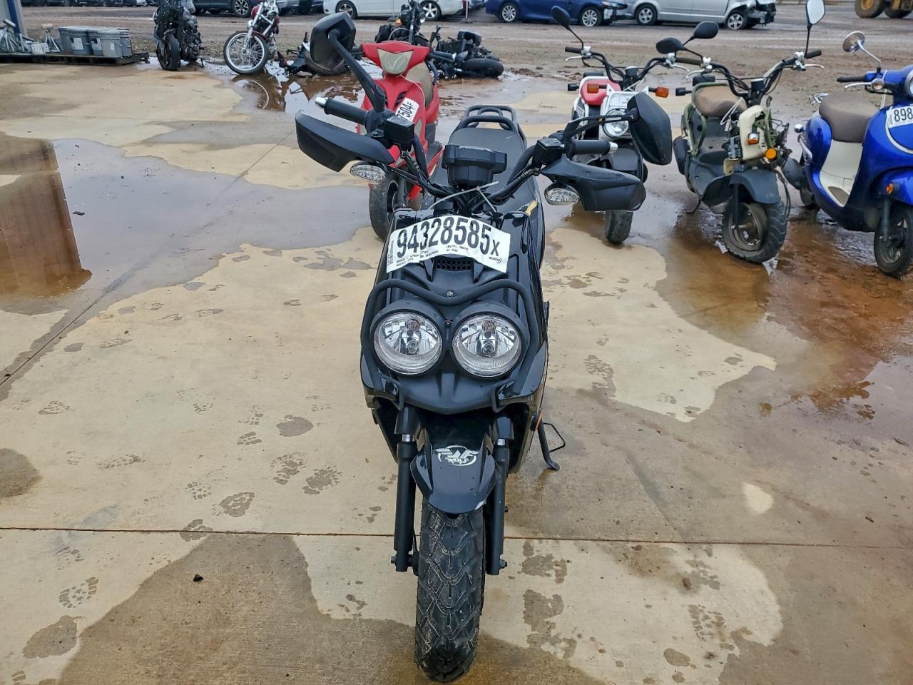 Wolf Rugby Ii Image 7