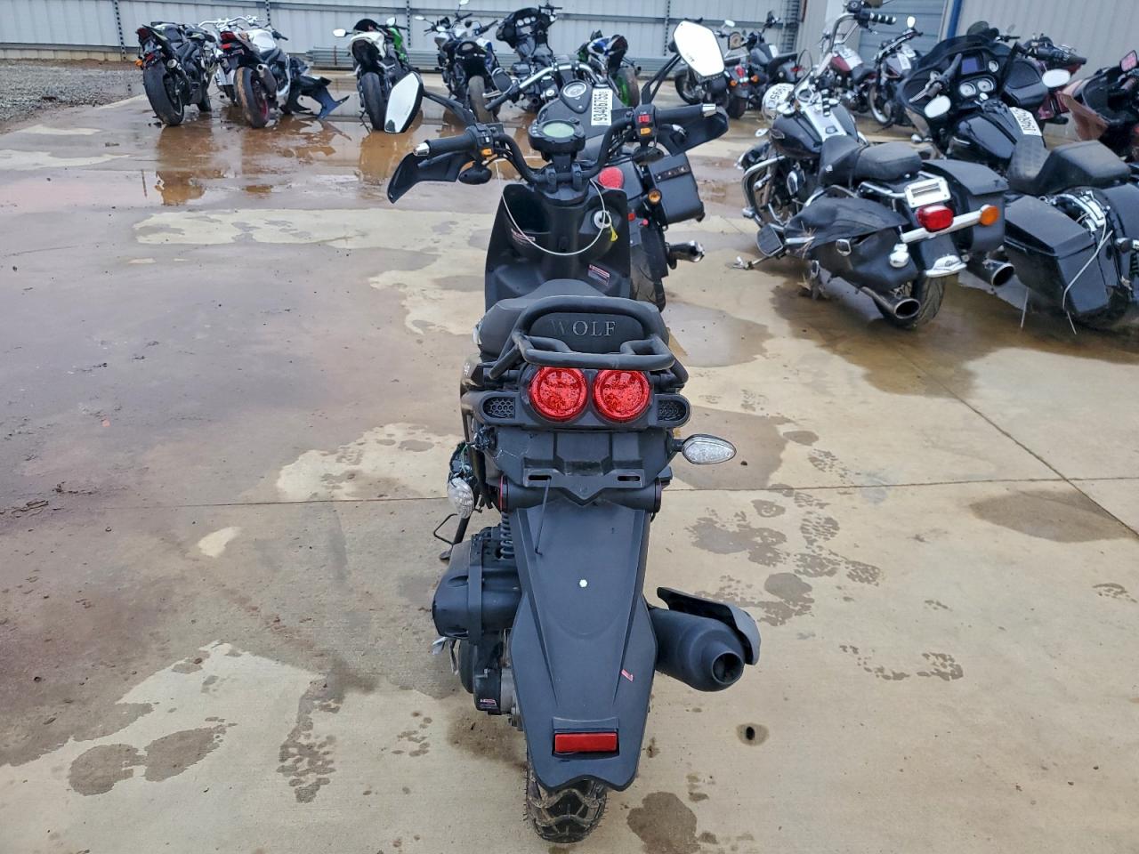 Wolf Rugby Ii Image 2