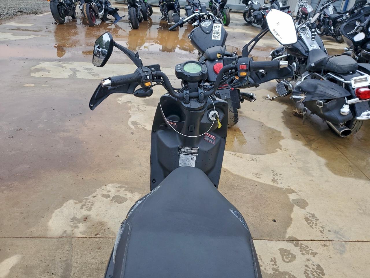 Wolf Rugby Ii Image 6