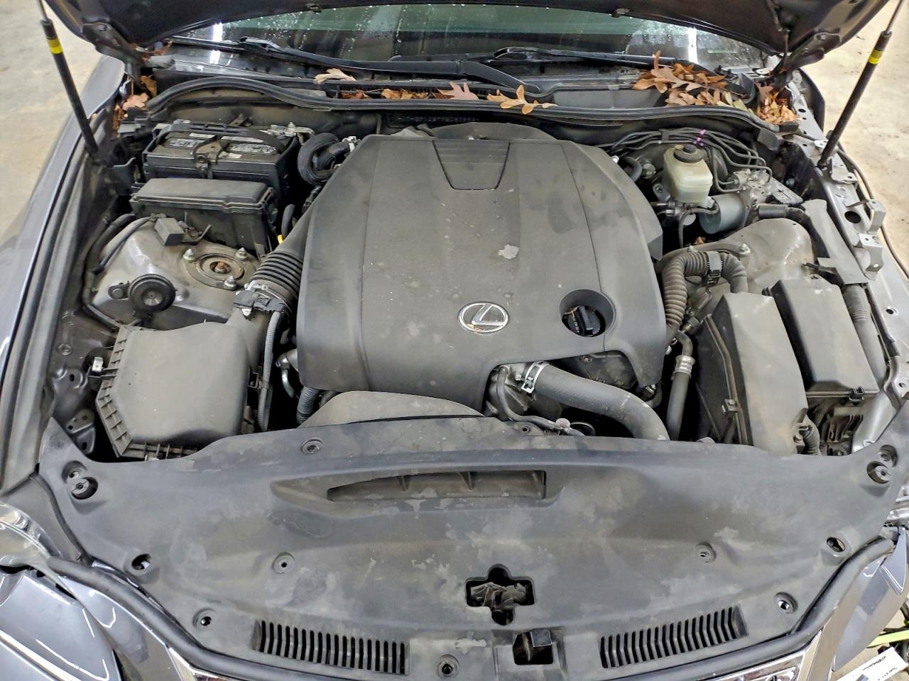 Lexus Is 250 Image 11