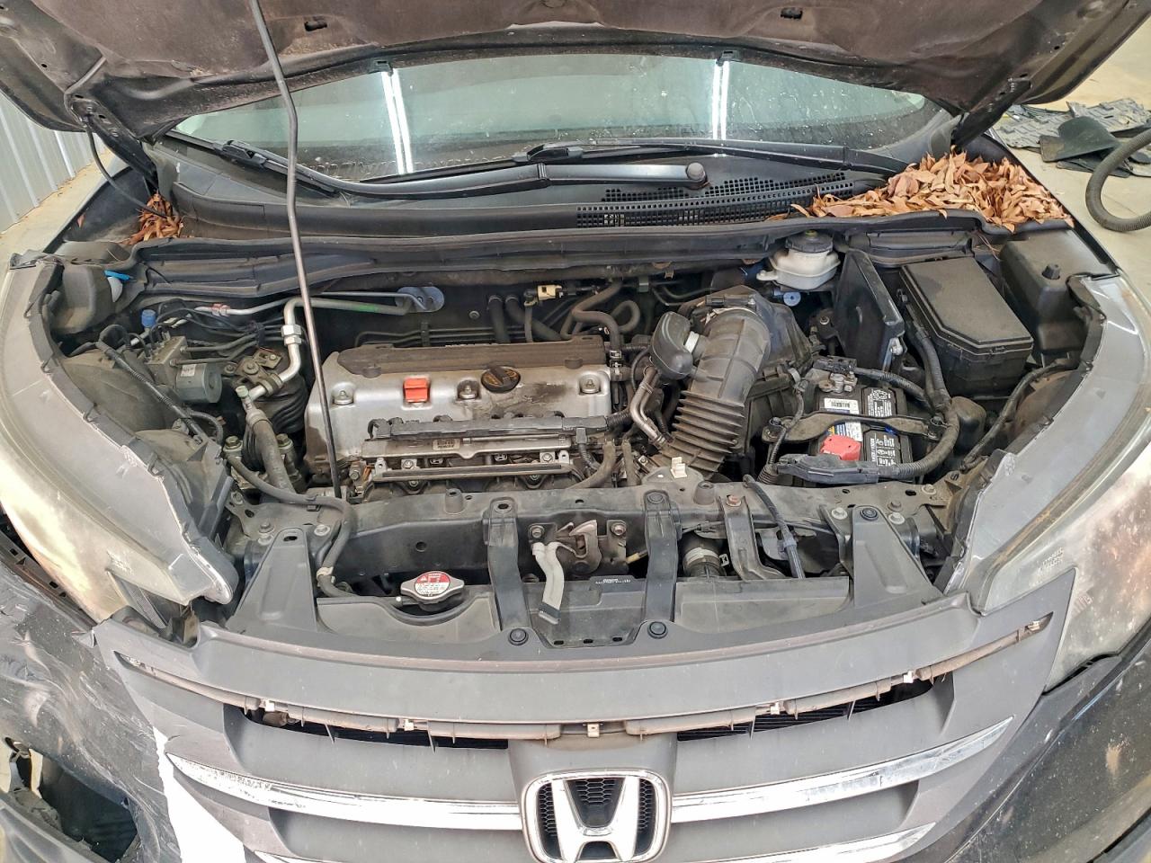 Honda Crv Lx Image 12